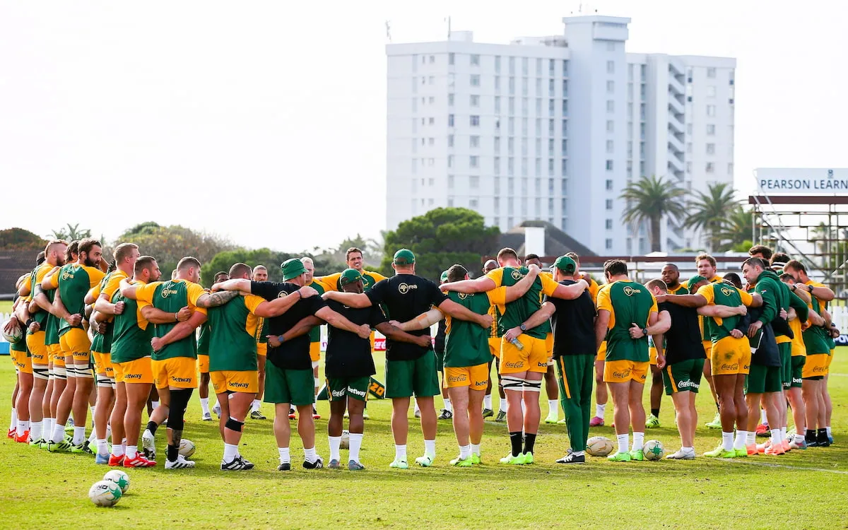 Springboks huddle.jpeg.webp.webp