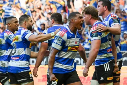Stormers celebrate.jpeg.webp.webp