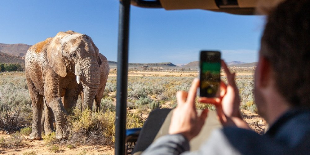 Aquila private game reserve uber service.jpg
