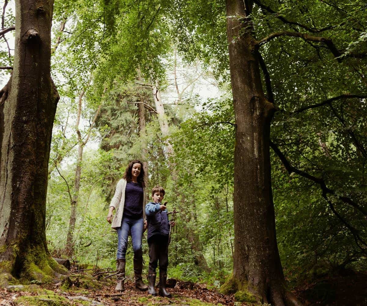 Ben elliott lwwQJIsn2V4 unsplash ALTB.jpg