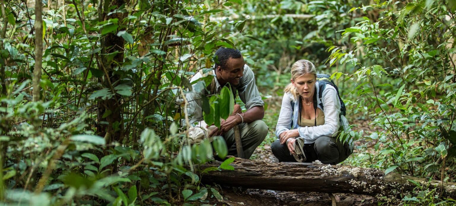 E2016 odzala alh 158 e1770210525226.jpg