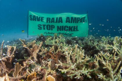 Fba3f4e3 gp0su5kxg.jpg