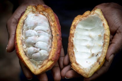 Https3A2F2Fd1e00ek4ebabms.cloudfront.net2Fproduction2F7c544968 a419 4760 bbe7 40e18ed9108e.jpg