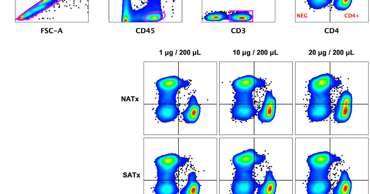 Journal.pntd .0013982.g007.PNG