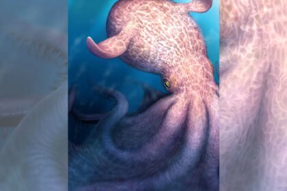 042326 JB kraken main.jpg