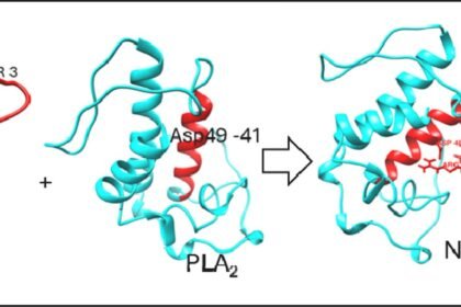 1 s2.0 S0041010126001108 ga1 lrg.jpg