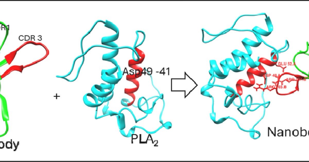 1 s2.0 S0041010126001108 ga1 lrg.jpg