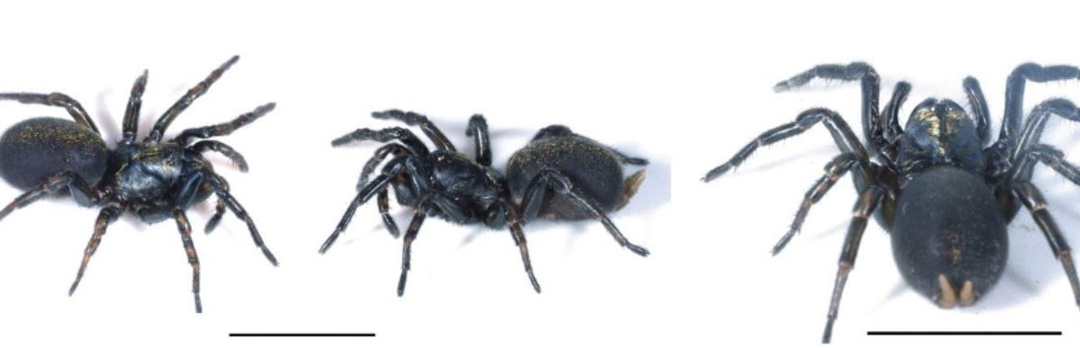 1777334784 Capture.JPG