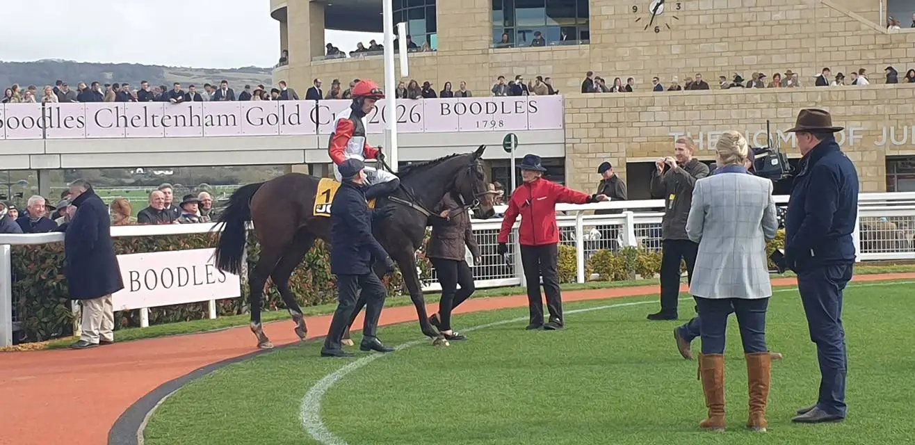 Apolon De Charnie.jpg