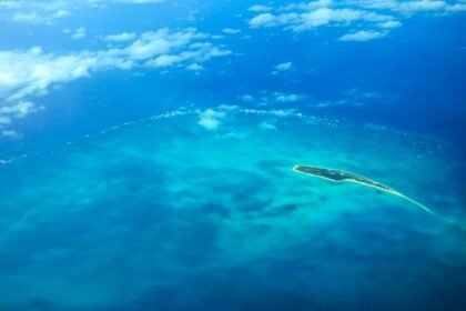 COPYRIGHT HoneyTrek IMG 1967 1.jpg