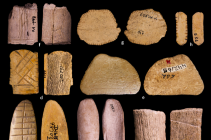 Dice Fig1 revised.png