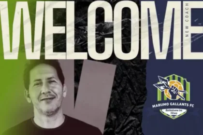 Marumo Gallants.jpg.webp.webp