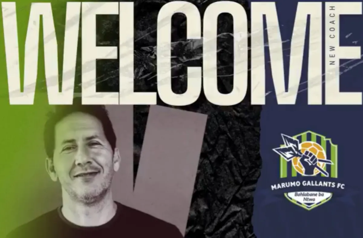 Marumo Gallants.jpg.webp.webp