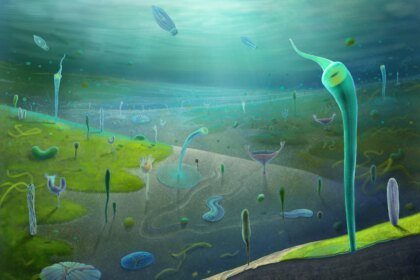 Reconstruction of Jiangchuan biota Credit Xiaodong Wang.jpg