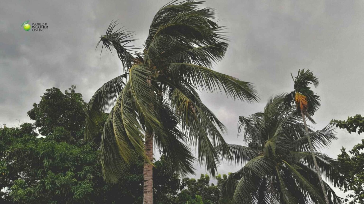 Tropical Cyclone Narelle Australias Rare Multi Landfall Storm Leaves a Trail of Destruction.jpg
