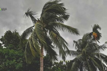 Tropical Cyclone Narelle Australias Rare Multi Landfall Storm Leaves a Trail of Destruction.jpg