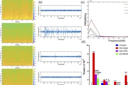 Fphar 17 1747856 g001.webp.jpeg