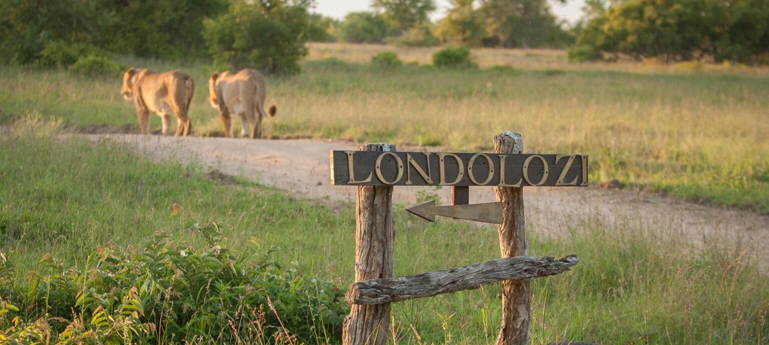 Londolozi entrance 01 scaled e1772710864352.jpg