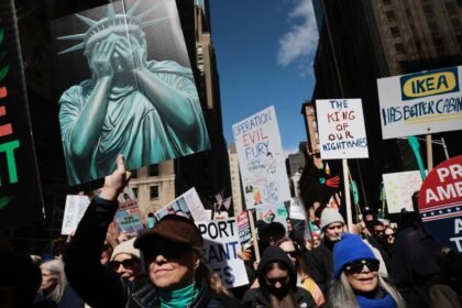 No kings mobilization democrats.jpg