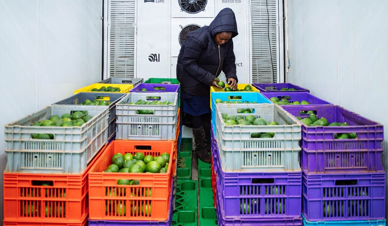 Sokofresh cold storage transforming energy access 3.jpg