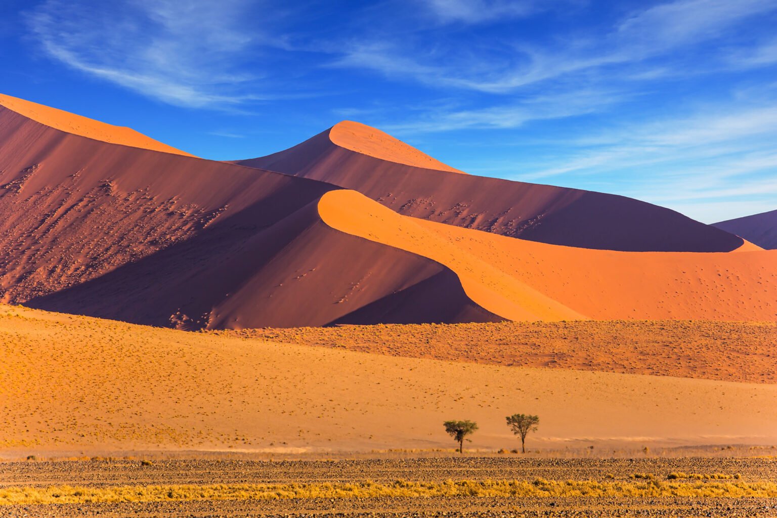 The Namib Naukluft and blue contrast skies.jpg