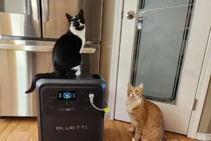 BLUETTI Elite 400 by fridge with 2 cats .jpg