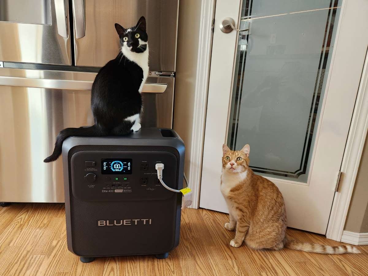 BLUETTI Elite 400 by fridge with 2 cats .jpg