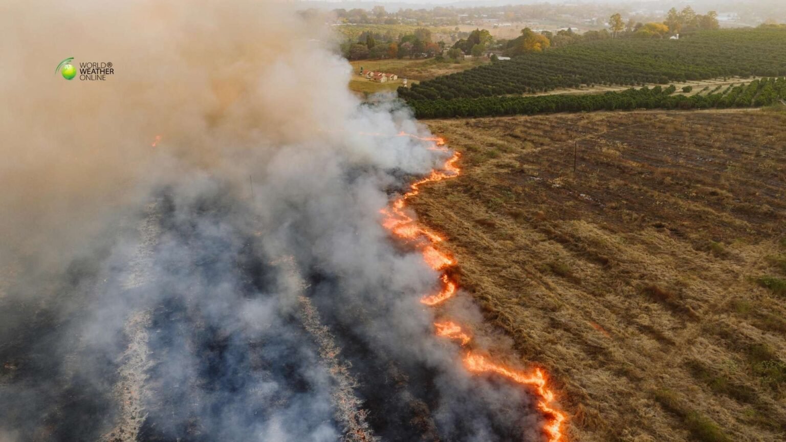 Global Fire Outbreaks Hit Record Levels Why 2026 Could Become a Dangerous Wildfire Year.jpg