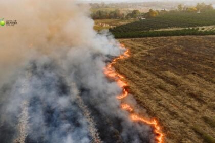 Global Fire Outbreaks Hit Record Levels Why 2026 Could Become a Dangerous Wildfire Year.jpg