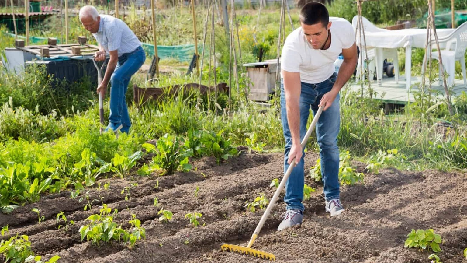Growing produce.jpg