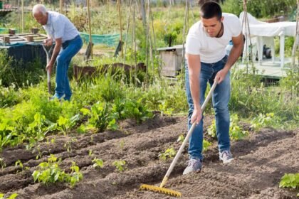 Growing produce.jpg