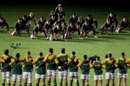Springboks All Blacks.jpeg