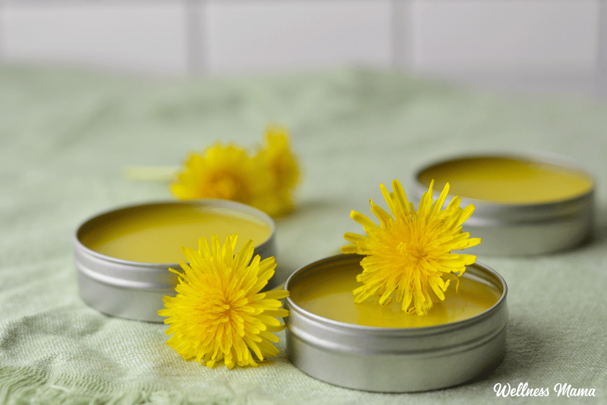 Dandelion salve 1.png