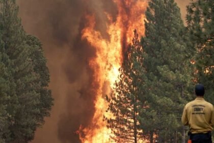 Intense wildfire.jpg